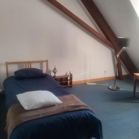 M2Couronne Appartement Mulhouse Buitenkant foto
